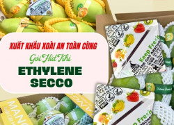 Gói hút ẩm Ethylene secco