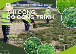 Dịch vụ trồng cỏ cảnh quan – thi công cỏ công trình tại Đồng Nai