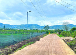 6.500m2 ( đất liên hiệp cu, lâm đồng ) - 2500m2 thổ cư - quy hoạch full hồng