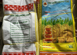 Bao Bì Đựng Lúa Giống 40kg, hàng có sẵn số lượng lớn tại kho