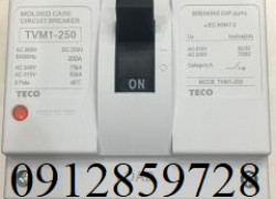 TVM1-250-3175F _Cầu dao điện Teco