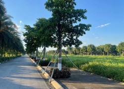 ►  MIK Phố Nối – “Ecopark” mới của Mỹ Hào, Hưng Yên