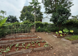 GREENERY HOUSE BÀ RỊA – CƠ HỘI SỞ HỮU NHÀ VƯỜN NGHỈ DƯỠNG CHỈ TỪ 3 TỶ ĐỒNG/LÔ