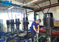 Bảo dưỡng hệ thống máy bơm trục đứng chuyên nghiệp, giá tốt tại Hà Nội