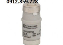 Cầu chì 50A 400V D02GG40V50