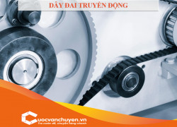 Thủ Tục Nhập Khẩu Dây Đai Truyền Động
