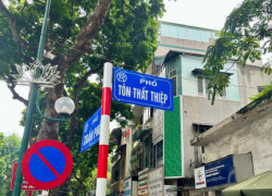 HÀNG HIẾM BA ĐÌNH-NHÀ MẶT PHỐ TÔN THẤT THIỆP-11Mx4T-LÔ GÓC-KINH DOANH CỰC ĐỈNH
