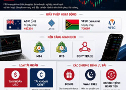 FPG (Fortune Prime Global) – Giải pháp giao dịch linh hoạt cho nhà đầu tư hiện đại