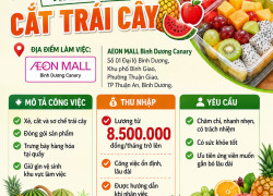 [KO CẦN KN] NV CẮT TRÁI CÂY TP THUẬN AN