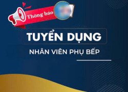 Nhà Hàng Three Koala tuyển NV bếp, phụ bếp, pha chế, phục vụ
