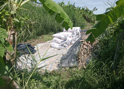 BÁN 271MV ĐÂT THỔ CƯ, VỊ TRÍ ĐẸP TẠI XÃ HOÀ LONG MỚI, ĐỒNG THÁP CHỈ 790TR. LH:0826395588.