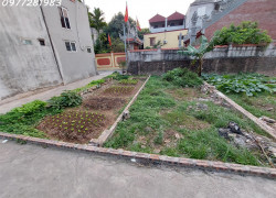 🏡 Đất đẹp Trôi – xây nhà ở ngay cực hợp lý