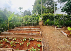 Chỉ Một Lô Duy Nhất - 400M² Mặt Tiền Đường 11M Tại Greenery House Long Tân