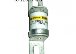Cầu chì 250A 660V, Model: 660GH-250ULTC