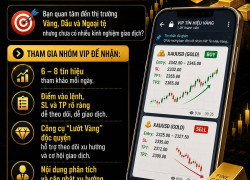 THAM GIA NHÓM VIP TÍN HIỆU THỊ TRƯỜNG
