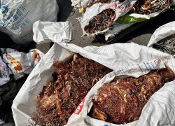 Thu Mua Phế Liệu Tâm Long Phát