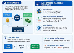 ĐÒN BẨY TRONG FOREX LÀ GÌ? HIỂU ĐÚNG ĐỂ GIAO DỊCH HIỆU QUẢ HƠN!