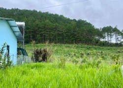 ĐẤT NAM BAN NGOẠI Ô ĐÀ LẠT – THỔ CƯ CAO – CẠNH ĐỒI THÔNG PHÙ HỢP NHÀ VƯỜN NGHỈ DƯỠNG
