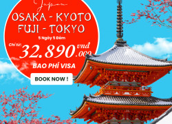 Hành Trình Khám Phá Nhật Bản Trọn Vẹn Osaka – Kyoto – Núi Phú Sĩ – Tokyo
