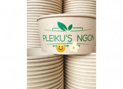 Cung Cấp Ly Giấy, Cốc Giấy, Tô Giấy Dùng 1 Lần | In Ấn Theo Thiết Kế Riêng VĨNH LONG