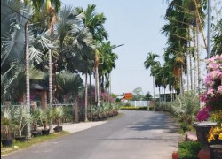 Bán Nhà Đường Trần Khánh Dư- Khu Làng Hoa Sa Đéc, 380m2, giá 2 tỷ 8
