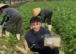 Bạn có biết nhiều loại nông sản quen thuộc có thể chế biến thành những sản phẩm tiện lợi cho bữa ăn hằng ngày?