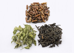 Trà gạo lứt có gì đặc biệt so với các loại trà khác?