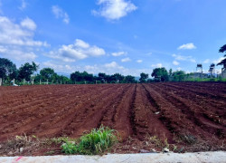 Bán Đất Nam Ban 502m² Thổ Cư 200m² – View Toàn Cảnh Nam Ban, Ngắm Trọn Tượng Phật Bà Từ Thế Đất Đẹp