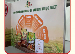 THI CÔNG BACKDROP SỰ KIỆN TẠI CẦN THƠ