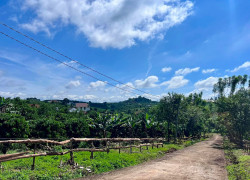 Bán Đất Nam Hà 1.000m² Hai Mặt Tiền – Có Sẵn Cà Phê Thu Hoạch, Không Gian Xanh Ven Đà Lạt