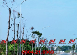 Cột đèn cao áp liền cần - Sản phẩm cột đèn chất lượng giá tốt Phan Nguyễn
