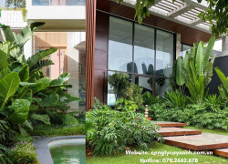 Dịch vụ chăm sóc cảnh quan uy tín - nhanh chóng - giá rẻ