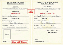 Chứng Chỉ  Thông Tin Thư Viện