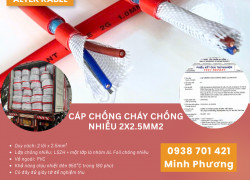 Cáp chống cháy chống nhiễu 2x2.5mm² – Giải pháp an toàn cho hệ thống PCCC