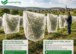 TÚI LƯỚI HDPE TRẮNG BẢO VỆ TRÁI CÂY & GIẢI PHÁP CHE PHỦ CÂY TRỒNG NÔNG NGHIỆP