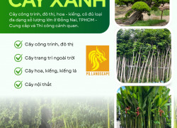 Nhận cắt cỏ khu dân cư, đất dự án, đô thị