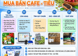 Phần mềm quản lý thu mua cà phê – tiêu TTV