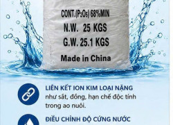 SODIUM HEXAMETAPHOSPHATE – HỖ TRỢ ỔN ĐỊNH KHOÁNG VÀ CHẤT LƯỢNG NƯỚC AO NUÔI