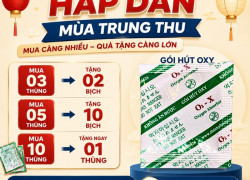 Gói Hút Oxy Bảo Quản Bánh Trung Thu Giảm Rủi Ro Ẩm Mốc Trong Quá Trình Phân Phối