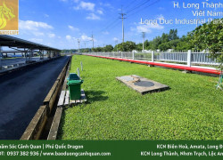 Dịch vụ cắt trồng cỏ và trồng cỏ cảnh quản tại Đồng Tại