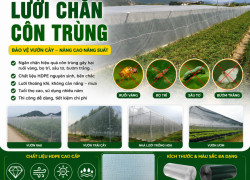 LƯỚI CHẮN CÔN TRÙNG HDPE – GIẢI PHÁP BẢO VỆ NHÀ VƯỜN HIỆN ĐẠI