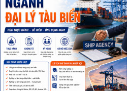 Tuyển sinh nghiệp vụ đại lý tàu biển