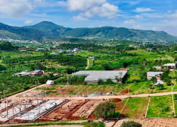 Bán Đất Ven Đà Lạt 322m² Ngang 12m – Thổ Cư 259m², Hạ Tầng Hoàn Thiện, Sẵn Sàng Xây Dựng