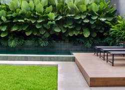 Dịch vụ trồng cỏ phủ xanh khu vườn cho không gian thêm gian mát Đồng Nai
