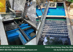 Dịch vụ vệ sinh hồ cá Koi chuyên nghiệp HCM, Đồng Nai