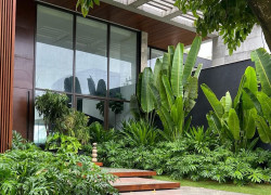 Sân vườn đẹp như Resort – Không còn là nỗi lo bão dưỡng!