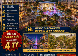 Giá Chỉ Từ 4,x Tỷ - Sở Hữu Nhà Phố Cao Cấp Tại Dự Án Vlasta Thủy Nguyên