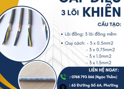 Cáp Điều Khiển 3 Lõi ALTEK KABEL