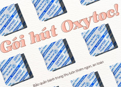 Vì sao nhiều xưởng bánh trung thu chọn gói chống mốc OXYTOC?