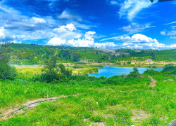 1,3 ha ( 13.000m2 ) mà giá chỉ 3,5 tỷ - phú hội cũ, đức trọng, lâm đồng